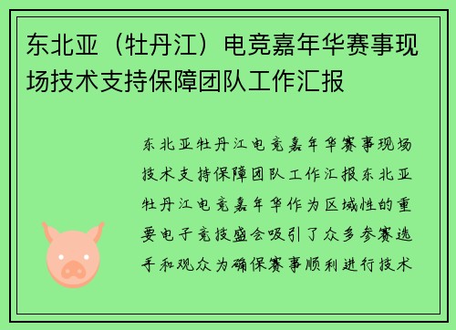 东北亚（牡丹江）电竞嘉年华赛事现场技术支持保障团队工作汇报