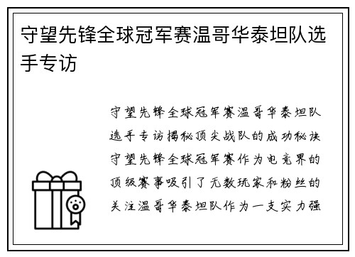 守望先锋全球冠军赛温哥华泰坦队选手专访