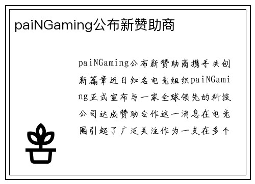 paiNGaming公布新赞助商