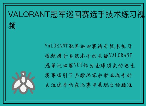 VALORANT冠军巡回赛选手技术练习视频
