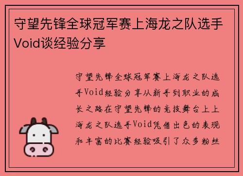 守望先锋全球冠军赛上海龙之队选手Void谈经验分享