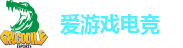 爱游戏电竞